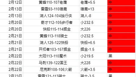 上海家庭晾晒新风尚，揭秘高端技巧，不容错过！